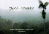 Chocó-Ecuador